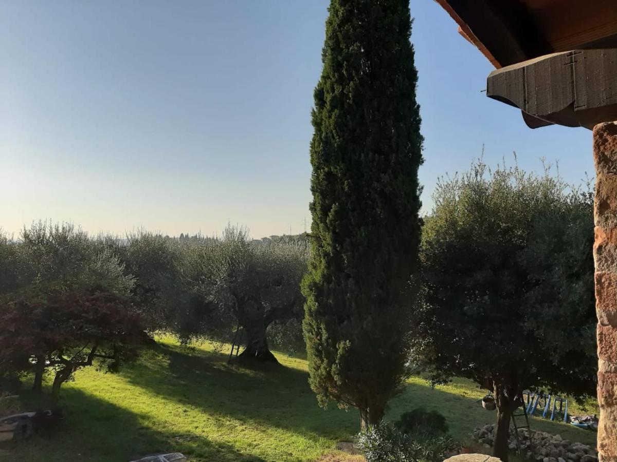 Montebello Degli Olivi キウージ エクステリア 写真