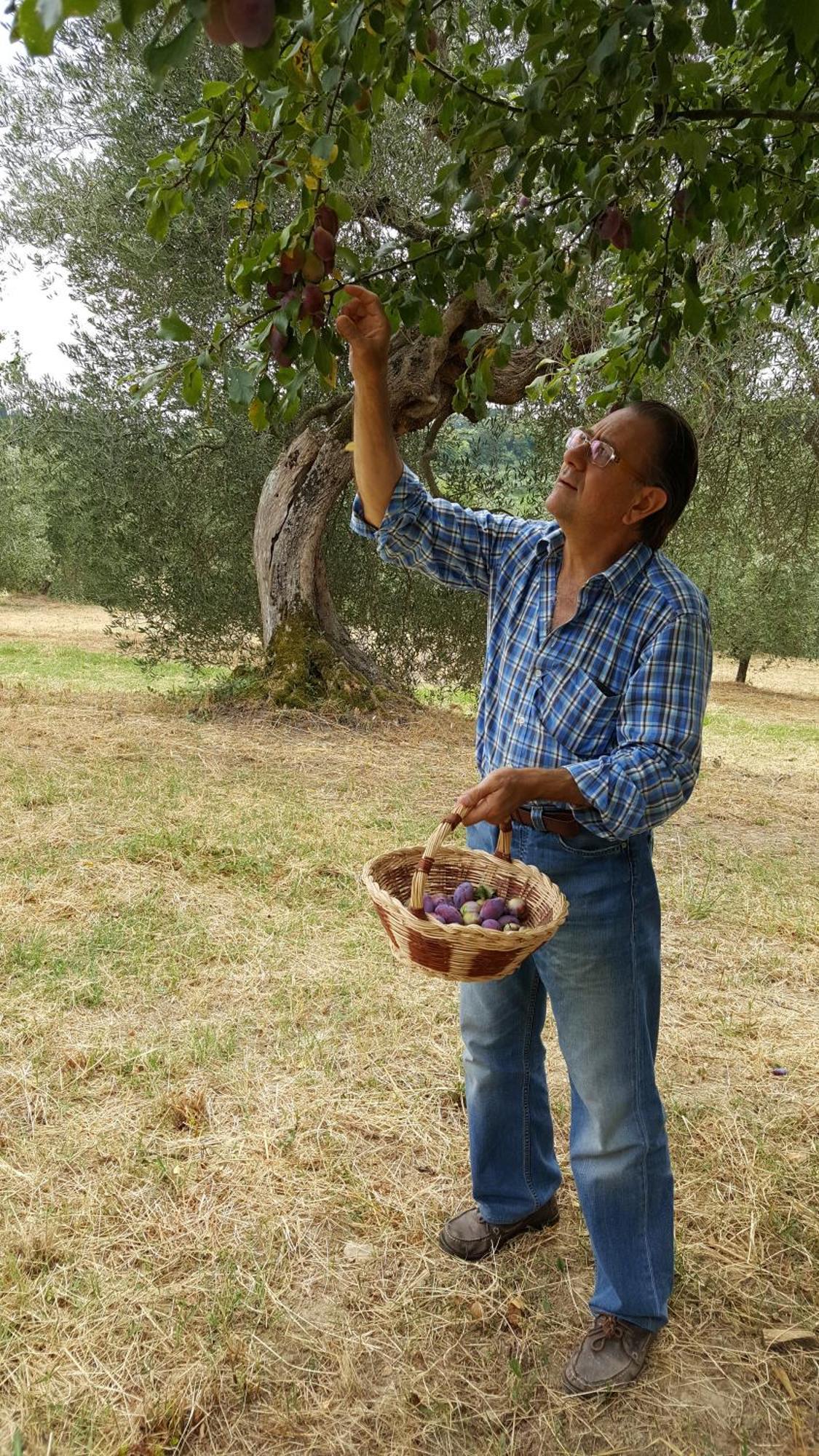 Montebello Degli Olivi キウージ エクステリア 写真