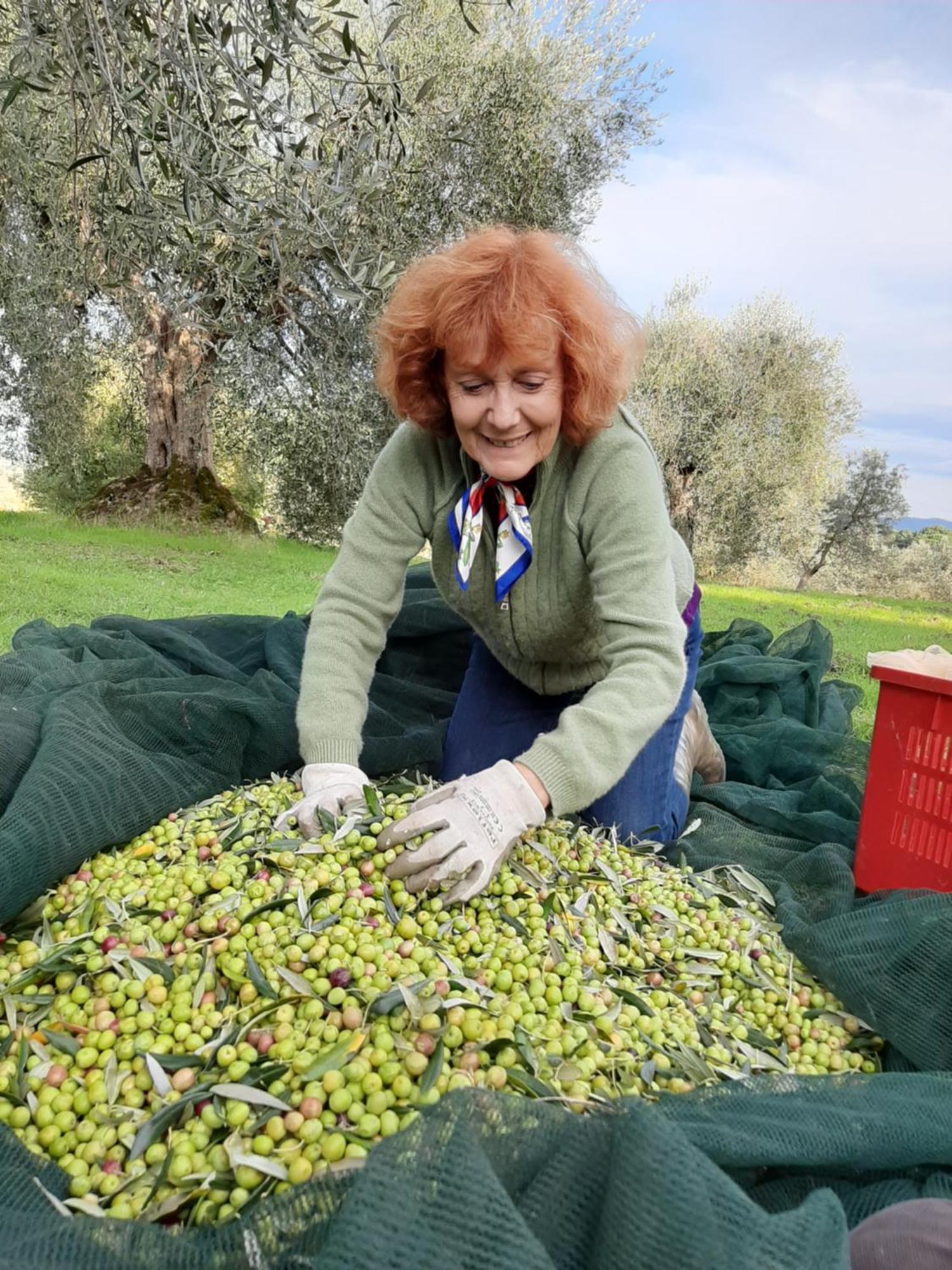 Montebello Degli Olivi キウージ エクステリア 写真